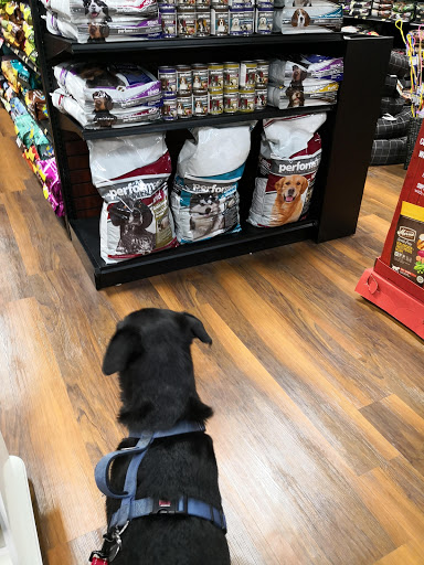 Pet Store «Pet Valu», reviews and photos, 30 E Ridge Pike, Conshohocken, PA 19428, USA
