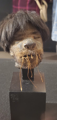 Museum «Museum of World Treasures», reviews and photos, 835 E 1st St N, Wichita, KS 67202, USA