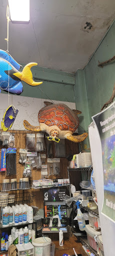 Pet Supply Store «Pet Station Jackson», reviews and photos, 1617 E Michigan Ave, Jackson, MI 49202, USA