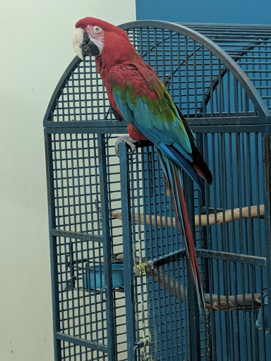 Pet Store «Creature Comforts Pet Care», reviews and photos, 15106 SE McLoughlin Blvd, Portland, OR 97267, USA