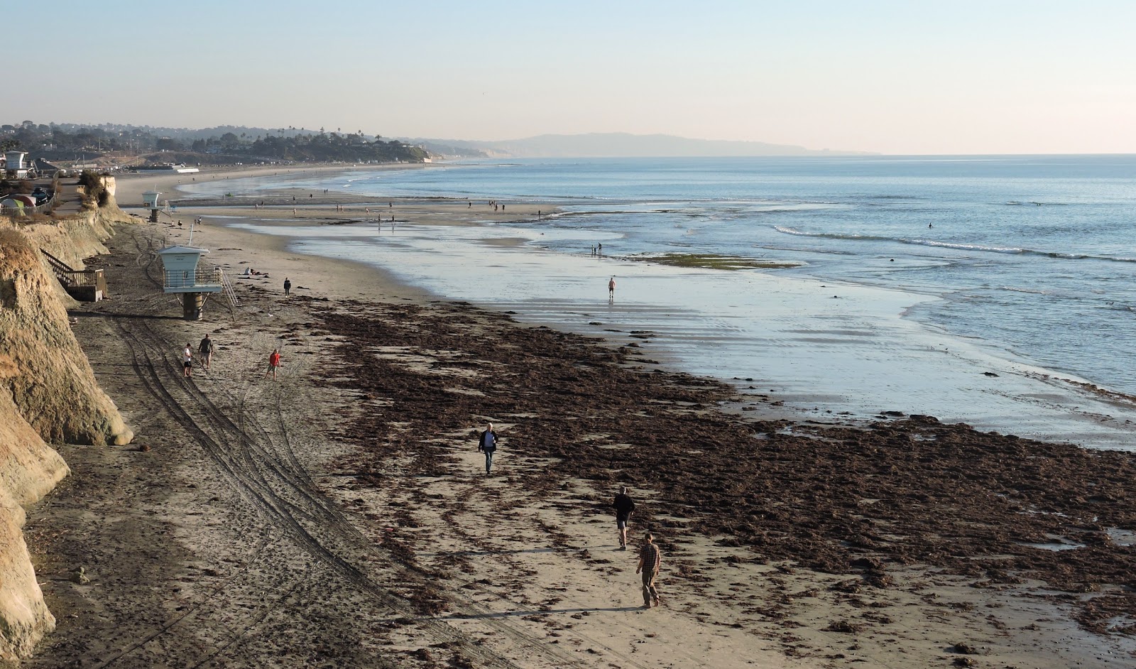 Foto von San Elijo beach - guter haustierfreundlicher Ort für den Urlaub