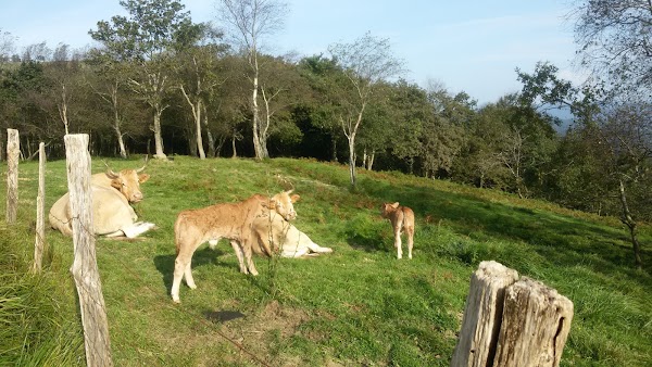 Imagen de Peuskate (1 de 2)