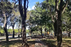 Crisantemos Park image