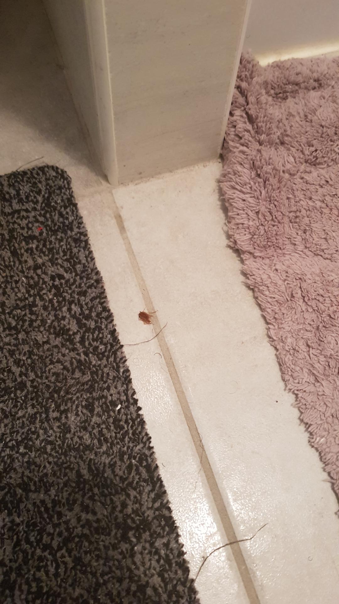Photo n° 2 de l'avis de Claudie.o fait le 23/04/2019 à 20:25