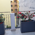 Photo n°2 de l'avis de Baykal.o fait le 14/04/2024 à 16:19 sur le  Hotel Repubblica à Milan