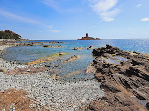 Photo n°79 de La Plage de l'Île d'Or à Saint-Raphaël ()