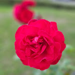 Photo n°13 de l'avis de Marketingcoach.h fait le 24/09/2023 à 15:14 sur le  Restaurant Hofgut Kargegg à Allensbach