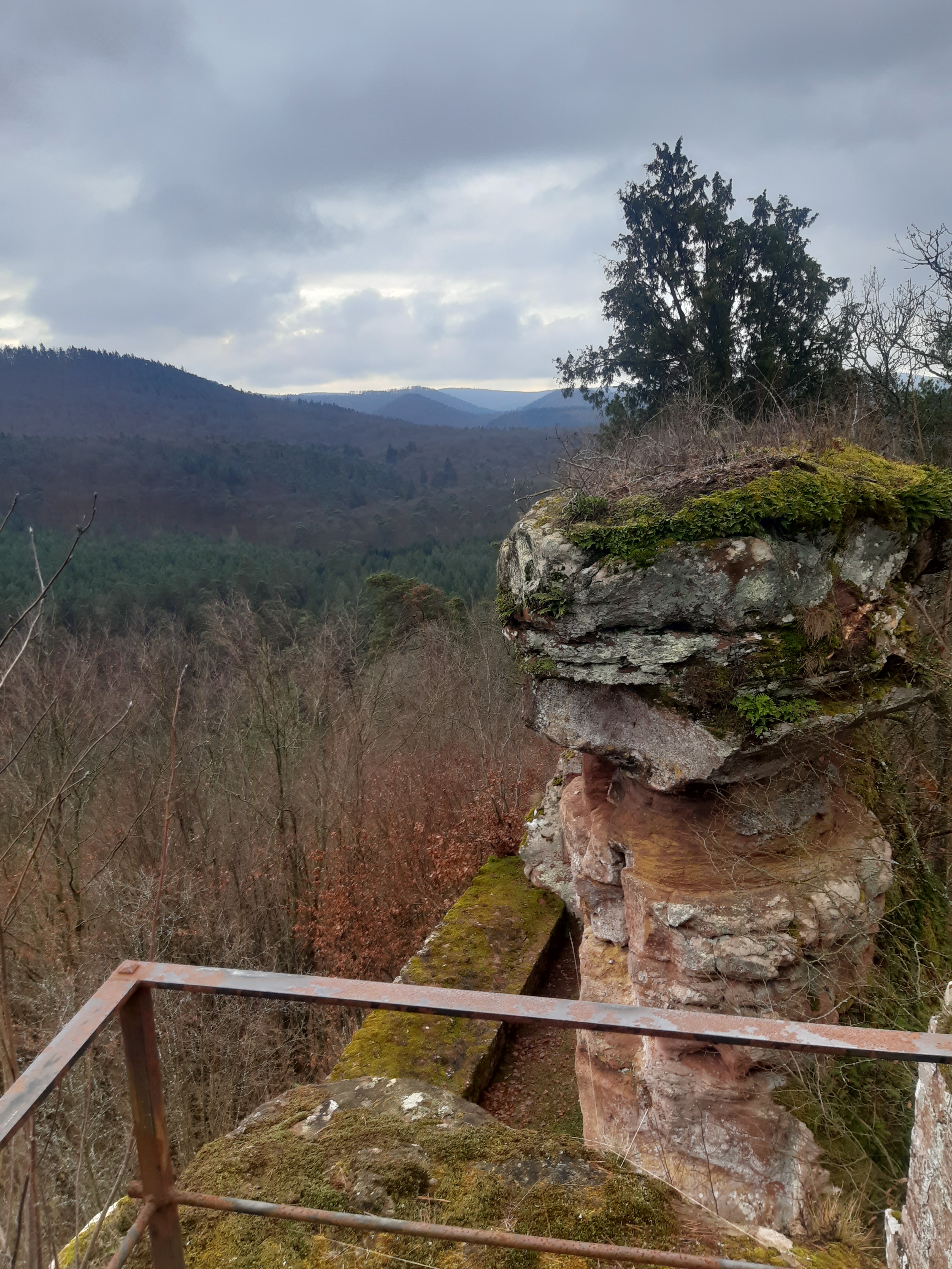 Photo n° 2 de l'avis de Christian.r fait le 19/01/2020 à 14:12