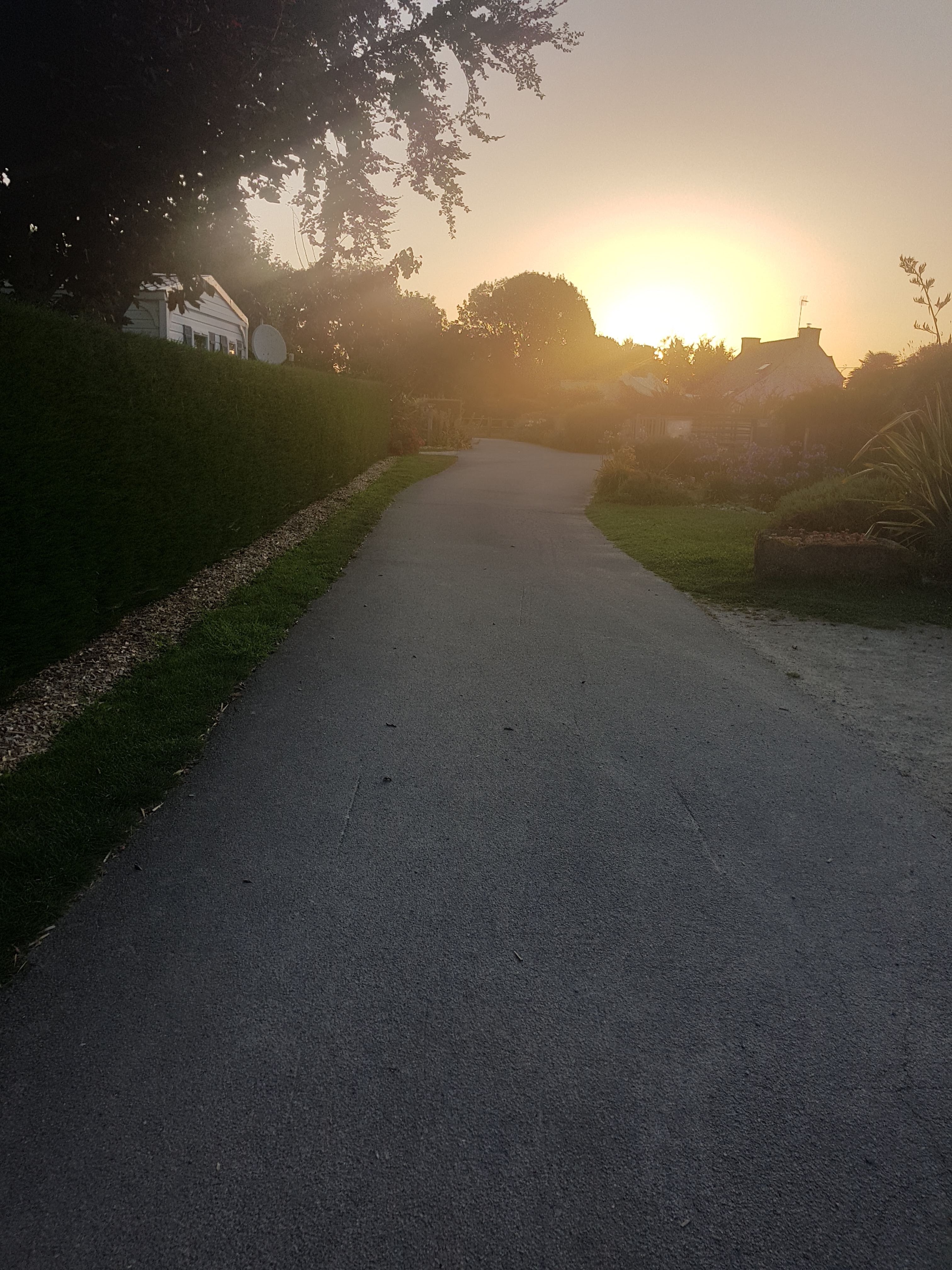 Photo n° 10 de l'avis de Terrien.u fait le 21/07/2021 à 17:46