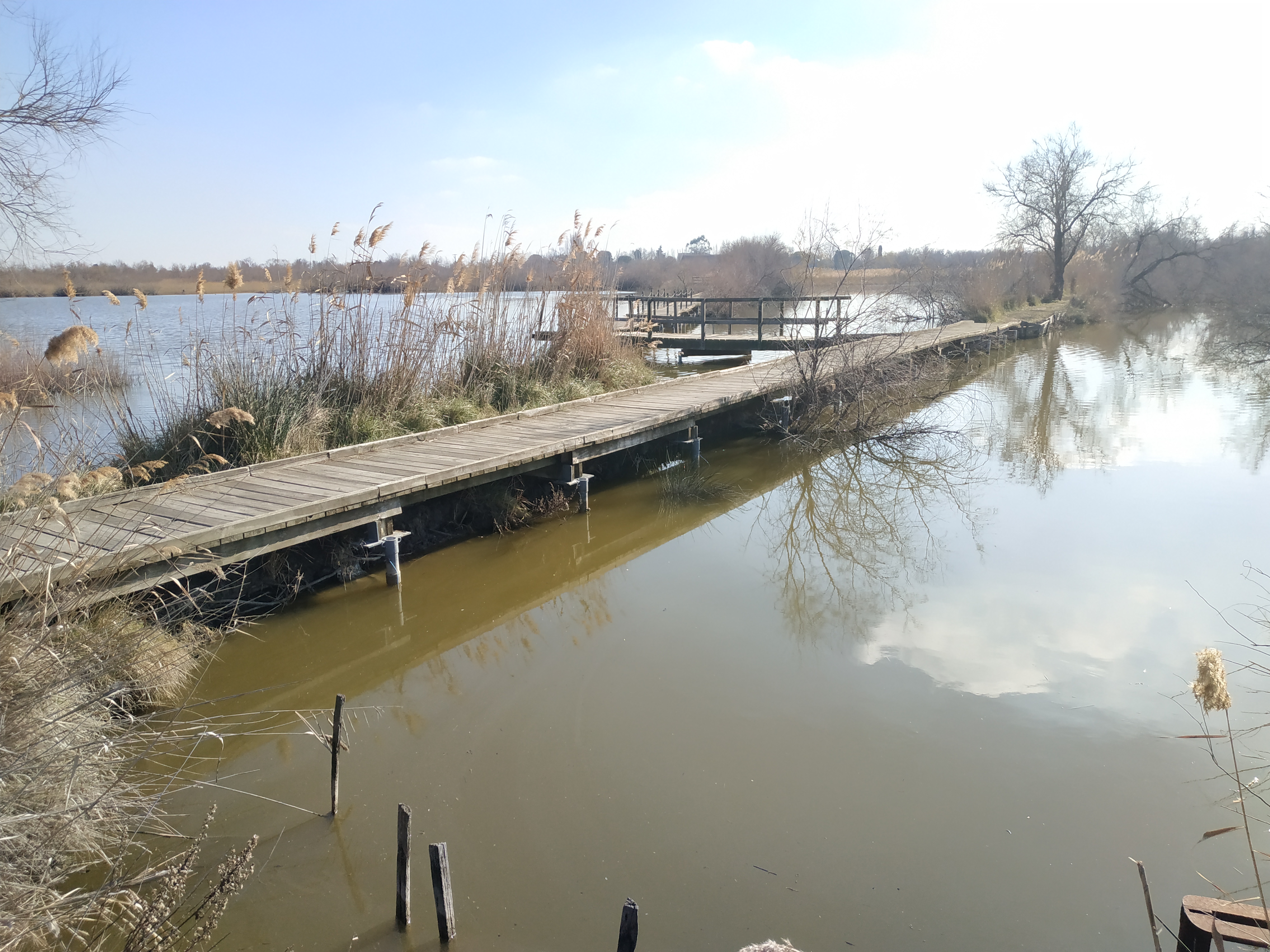 Photo n° 2 de l'avis de Michel.O fait le 14/02/2023 à 18:53