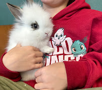 The Wild Things Pet Shop - Photo 7 - Car repair in Ankeny, IA, Des Moines