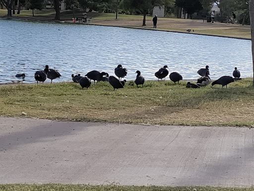 Park «Cesar Chavez Park», reviews and photos, 7858 S 35th Ave, Laveen Village, AZ 85339, USA