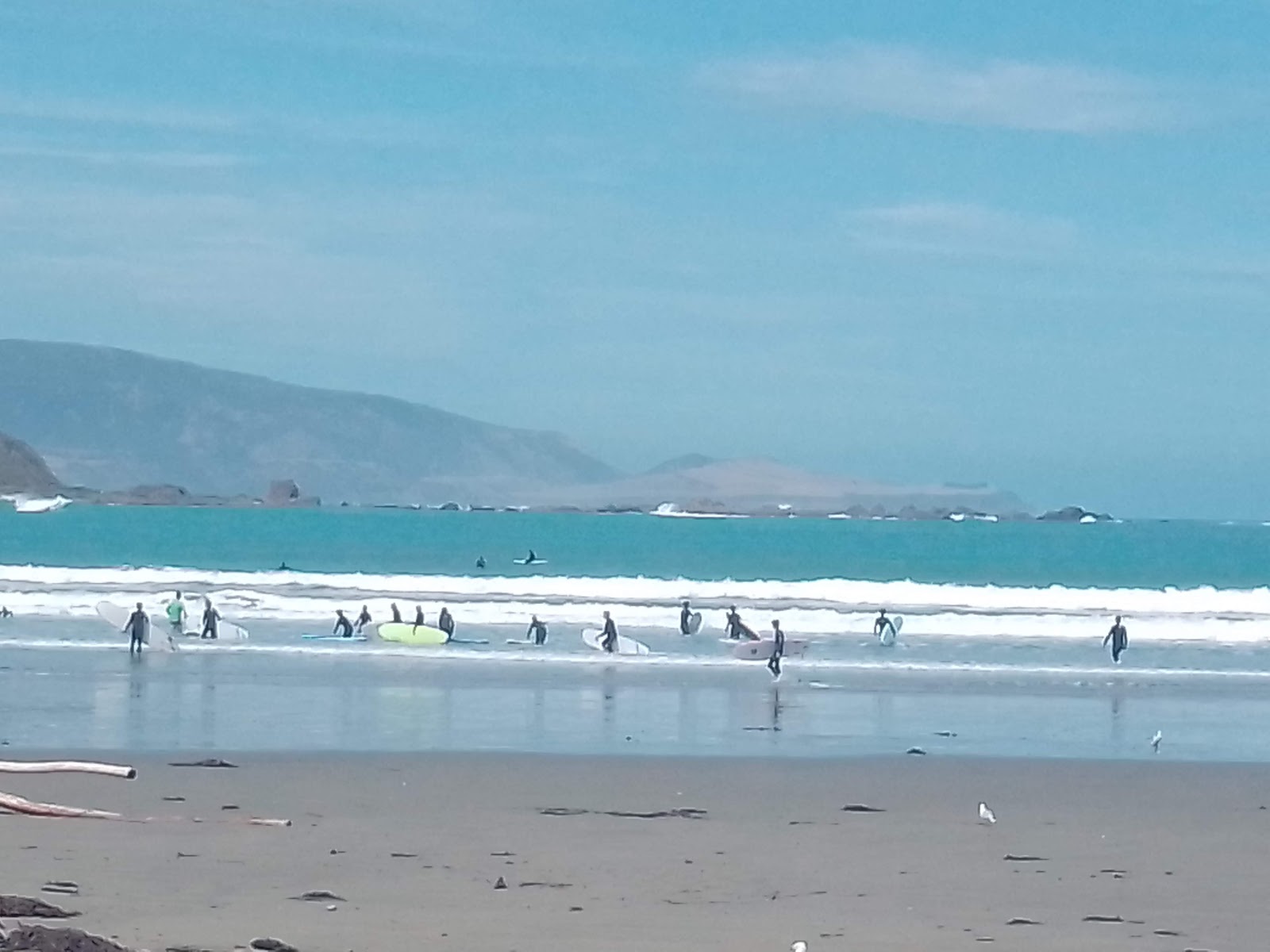 Lyall Bay'in fotoğrafı uçurumlarla desteklenmiş