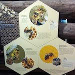 Photo n°47 de l'avis de László.� fait le 22/07/2023 à 11:15 sur le  Markus Wasmeier Freilichtmuseum à Schliersee