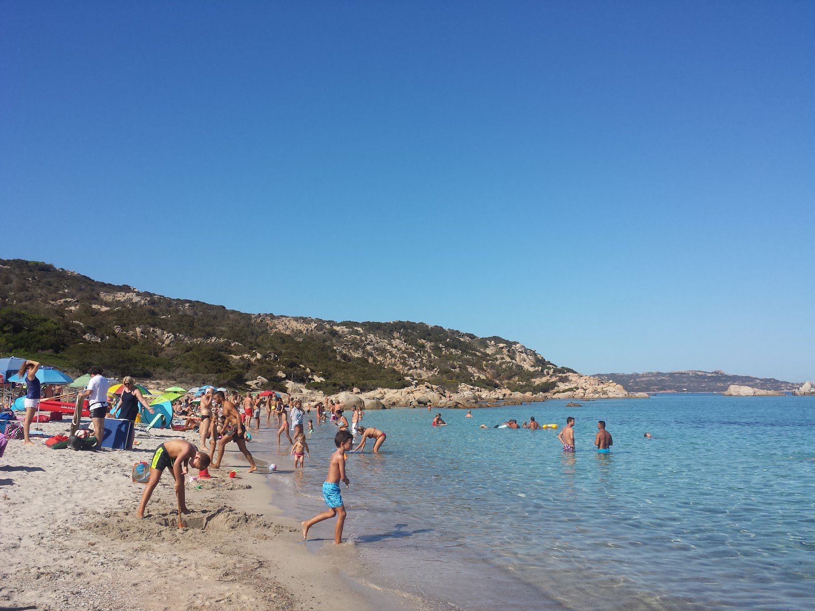 Sapling beach photo #9