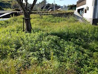 鏡岩緑地