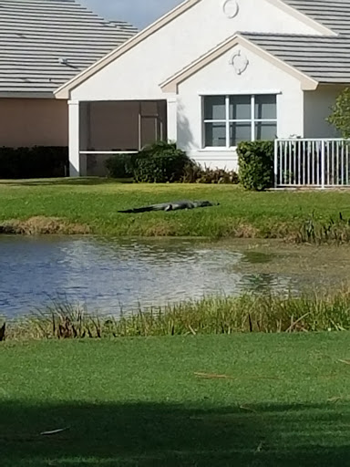 Country Club «Ironhorse Country Club», reviews and photos, 8055 Ironhorse Blvd, West Palm Beach, FL 33412, USA