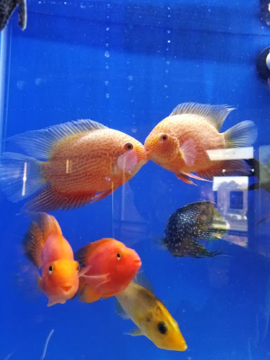 Aquarium «Aquatica», reviews and photos, 800 Clanton Rd H, Charlotte, NC 28117, USA