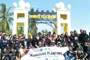 WISATA MANGROVE DESA SUNGAI KUPAH image