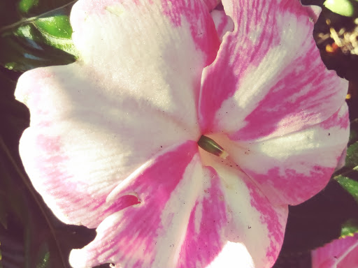 Park «Freeway Park - Jim Ellis Freeway Park», reviews and photos, 700 Seneca St, Seattle, WA 98101, USA