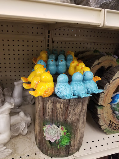 Discount Store «Big Lots», reviews and photos, 3309 16th St, Bedford, IN 47421, USA