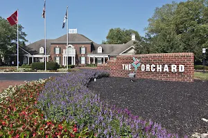 The Orchard image