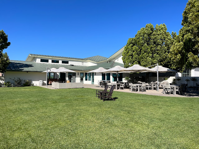 Edna Valley Vineyard by null