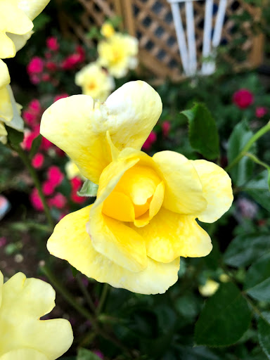 Garden Center «Stonewall Garden Center», reviews and photos, 4675 PA-447, Canadensis, PA 18325, USA