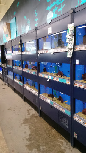 Pet Supply Store «Petco Animal Supplies», reviews and photos, 450 Hackensack Ave, Hackensack, NJ 07601, USA