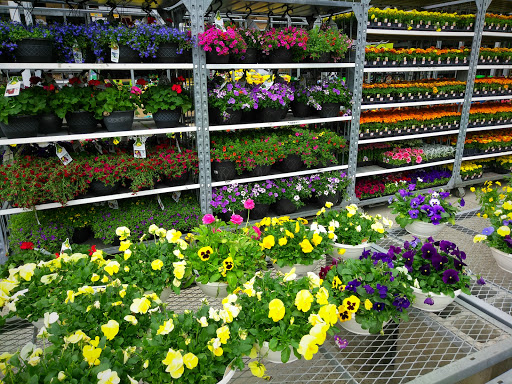 Home Improvement Store «The Home Depot», reviews and photos, 32525 Northwestern Hwy, Farmington Hills, MI 48334, USA