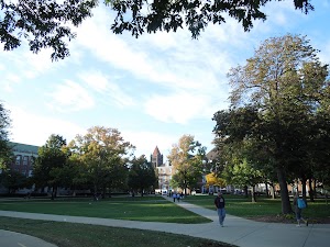 Main Quad - photo 5