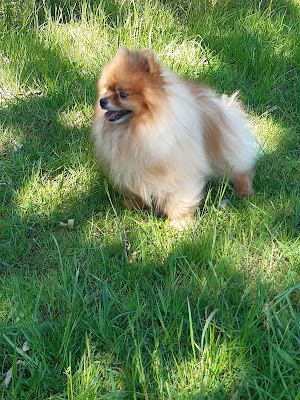 Galzin Edwige à Châtillon-sur-Colmont
