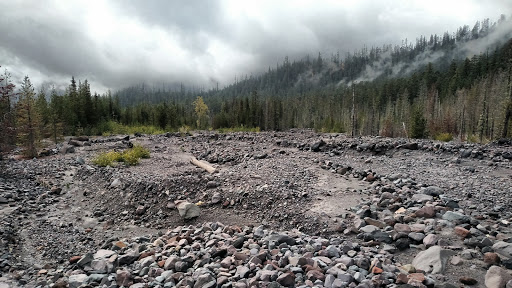 National Reserve «Mount St. Helens National Volcanic Monument», reviews and photos, 3029 Spirit Lake Hwy, Castle Rock, WA 98611, USA