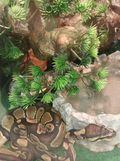 Pet Supply Store «Pet Supplies Plus», reviews and photos, 9 Waukegan Rd, Deerfield, IL 60015, USA