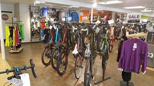 Action Sports Bicycle Center CT