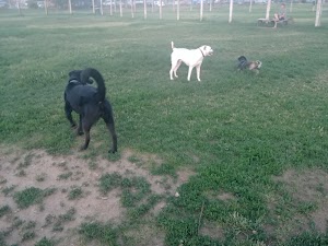 Fruitdale Park - photo 68