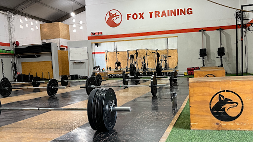 Fox Training Jardin Horizonte
