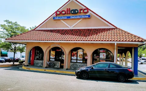 Pollo oro image