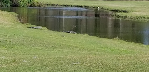 Golf Shop «Seven Springs Golf Shop», reviews and photos, 3535 Trophy Blvd, Trinity, FL 34655, USA