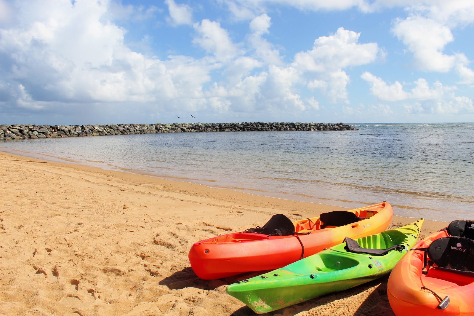 Foto di Playa Dorado del Mar West - luogo popolare tra gli intenditori del relax