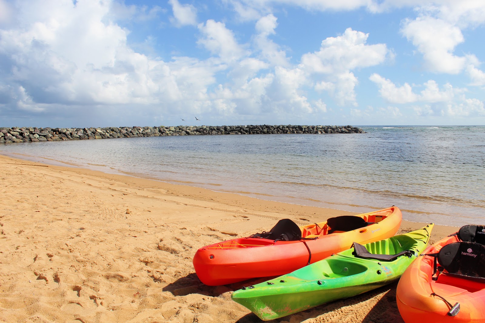 Playa Dorado del Mar West photo #7