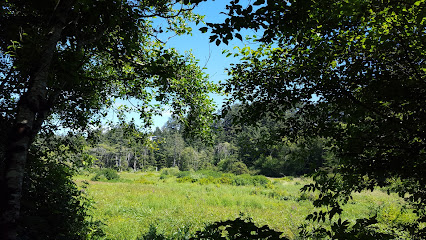 Doris Hassler Davis Memorial Pond and Wetland