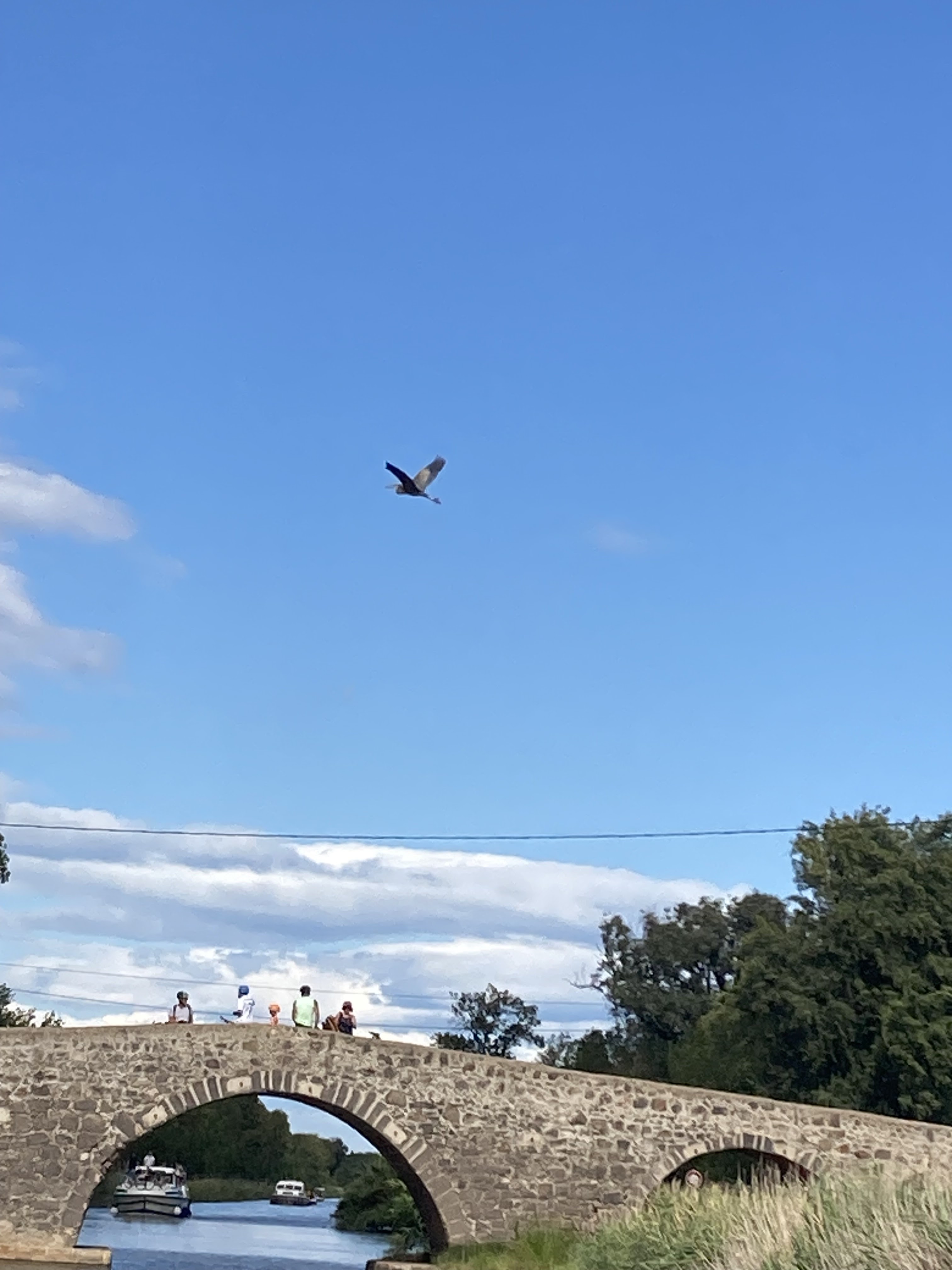 Photo n° 12 de l'avis de roland.i fait le 04/08/2023 à 21:13