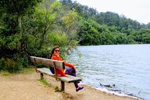 Lake Chabot Regional Park - photo 38