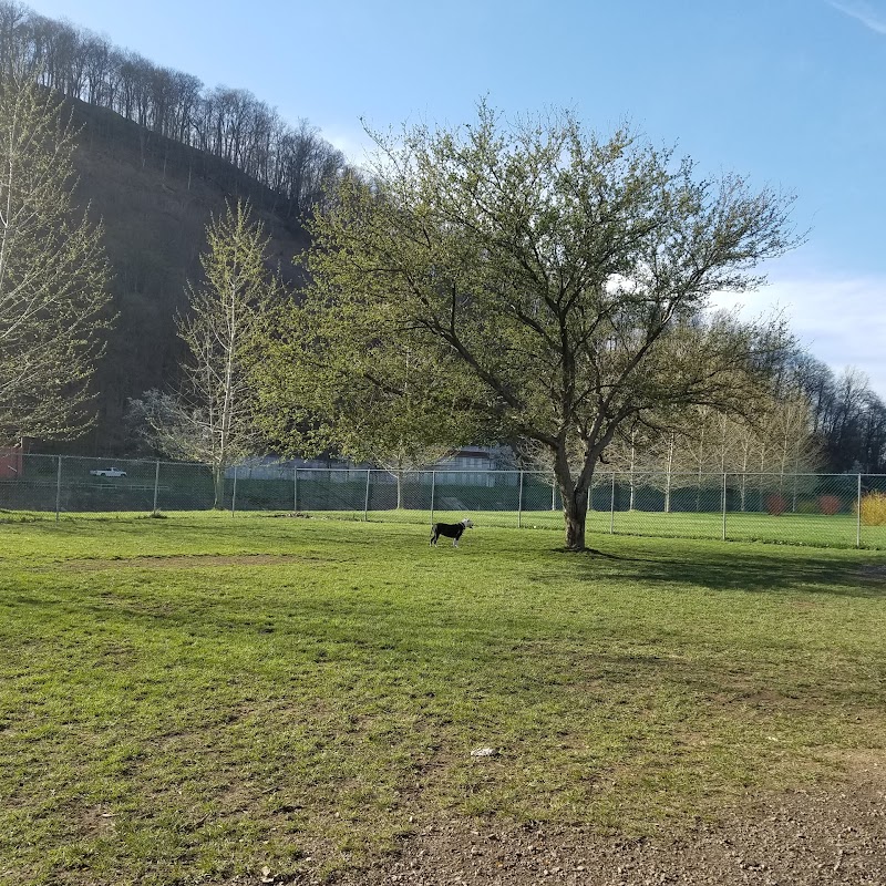 Sandyvale Dog Park