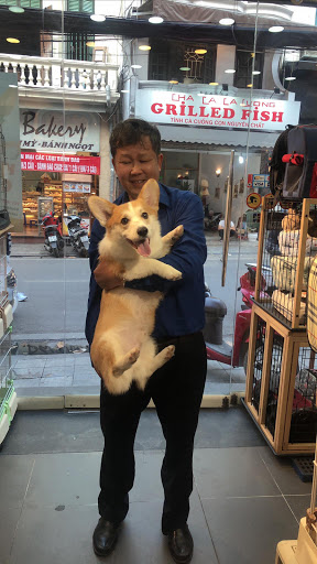 Dog day care Hanoi