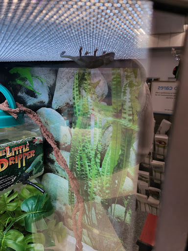 Pet Supply Store «Petco Animal Supplies», reviews and photos, 2000 NE Burnside Rd, Gresham, OR 97030, USA