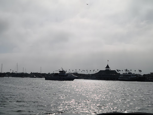 Grocery Store «Island Market», reviews and photos, 500 S Bay Front # A, Newport Beach, CA 92662, USA