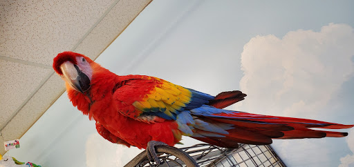 Pet Store «Exotics & Aquatics», reviews and photos, 5423 Williamson Rd, Roanoke, VA 24012, USA