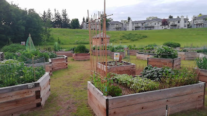 Hawkwood Community Garden